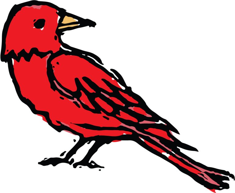 Redbird Media Group
